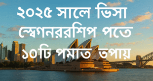 ২০২৫ সালে ভিসা স্পনসরশিপ পেতে ১০টি প্রমাণিত উপায়