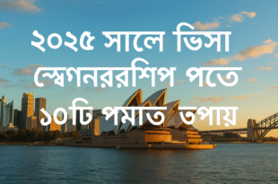 ২০২৫ সালে ভিসা স্পনসরশিপ পেতে ১০টি প্রমাণিত উপায়